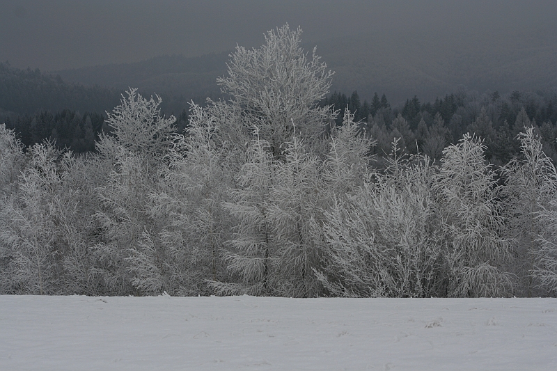 Bieszczady 12.2007 035